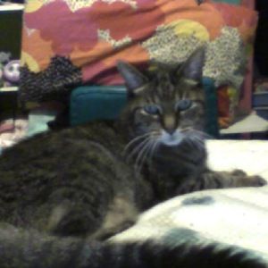 Meet your Posher, Mackenzie